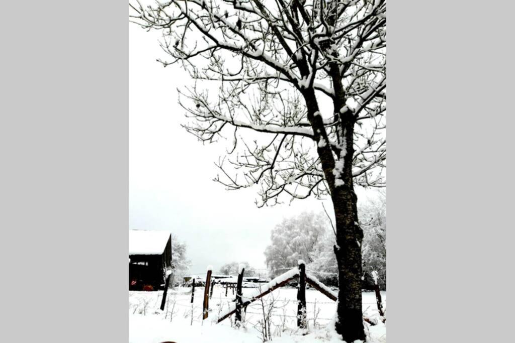La Maison Sous Les Arbres Holiday home Gouvy