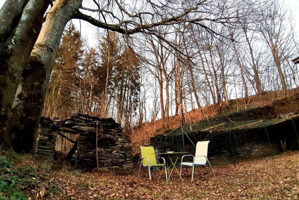 La Maison Sous Les Arbres