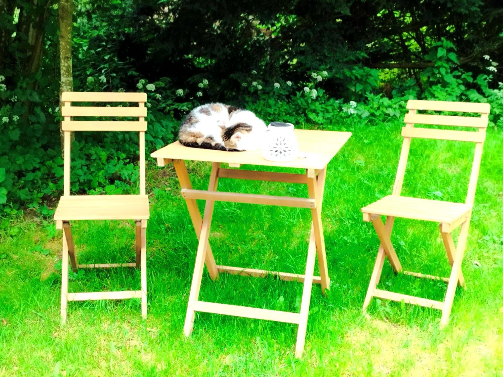 La Maison Sous Les Arbres Hébergement de vacances Gouvy